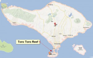Surf in Toro Toro Reef